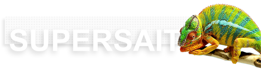 Изработка на уеб сайтове със СЕО - Supersait.bg Изработка на уеб сайтове със СЕО - Supersait.bg