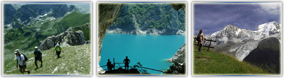 БЮРО РАДЕЦКИ ЕООД