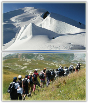 БЮРО РАДЕЦКИ ЕООД