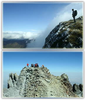 БЮРО РАДЕЦКИ ЕООД