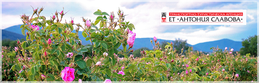 ЕТ АНТОНИЯ СЛАВОВА