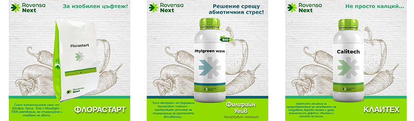 Словбул Соланум Пловдив ЕООД Словбул Соланум Пловдив ЕООД