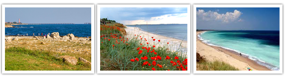 море шабла море шабла