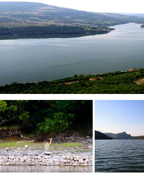 КЪЩА ЗА ГОСТИ СРЕДНА АРДА  язовир местност  КЪЩА ЗА ГОСТИ СРЕДНА АРДА  язовир местност