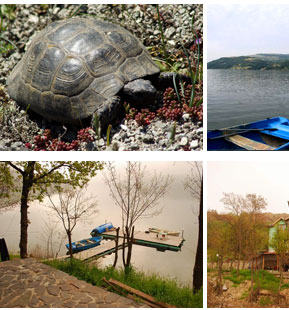 КЪЩА ЗА ГОСТИ СРЕДНА АРДА  язовир местност  КЪЩА ЗА ГОСТИ СРЕДНА АРДА  язовир местност