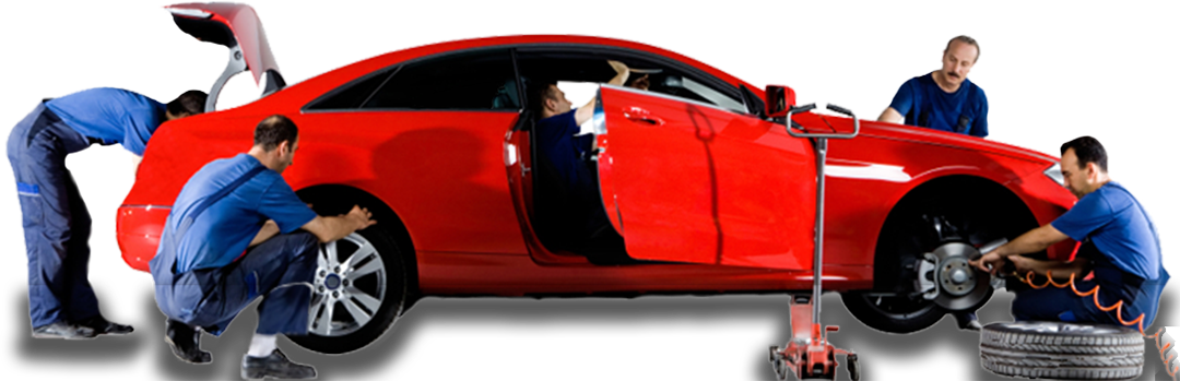 Ива - С ЕООД