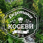 Екзотика - Косеви ООД