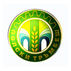 Общинска администрация Полски Тръмбеш