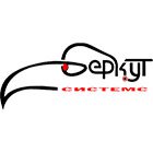 БЕРКУТ СИСТЕМС ЕООД
