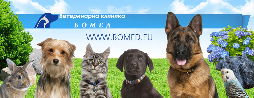 Ветеринарна Клиника Бомед 