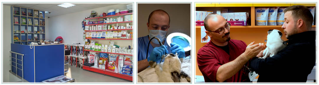 Ветеринарна Клиника Бомед 