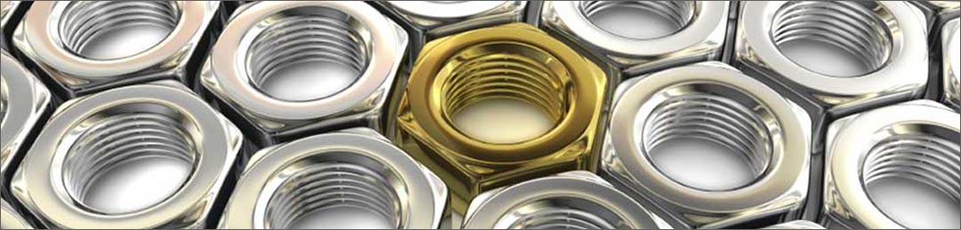 Е и В Елена Василева