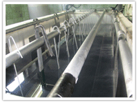 Е и В Елена Василева