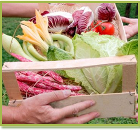 Препарати за растителна защита, торове, семена,