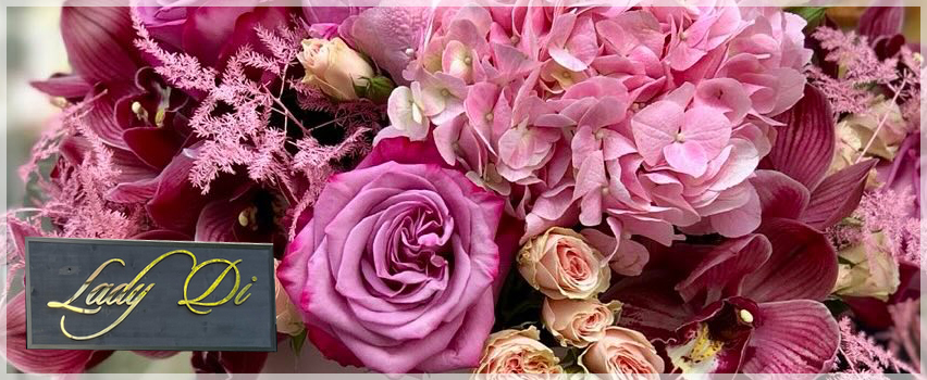 Лейди Ди