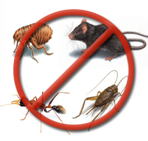 десинфекция