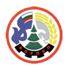Общинска администрация Борово