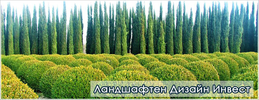 ландшафтния дизайн