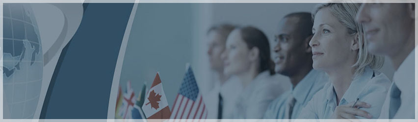 Николета Интелект