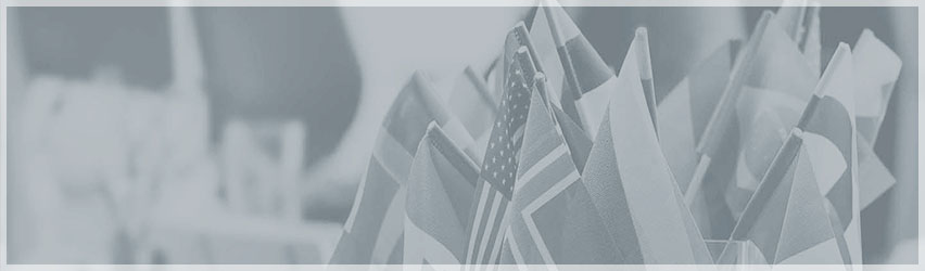 Николета Интелект