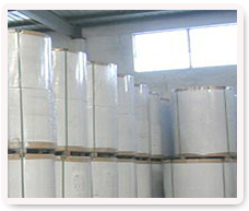 хартия хартия