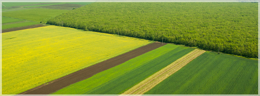  Земляци ООД