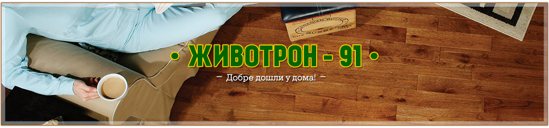мебели паркет
