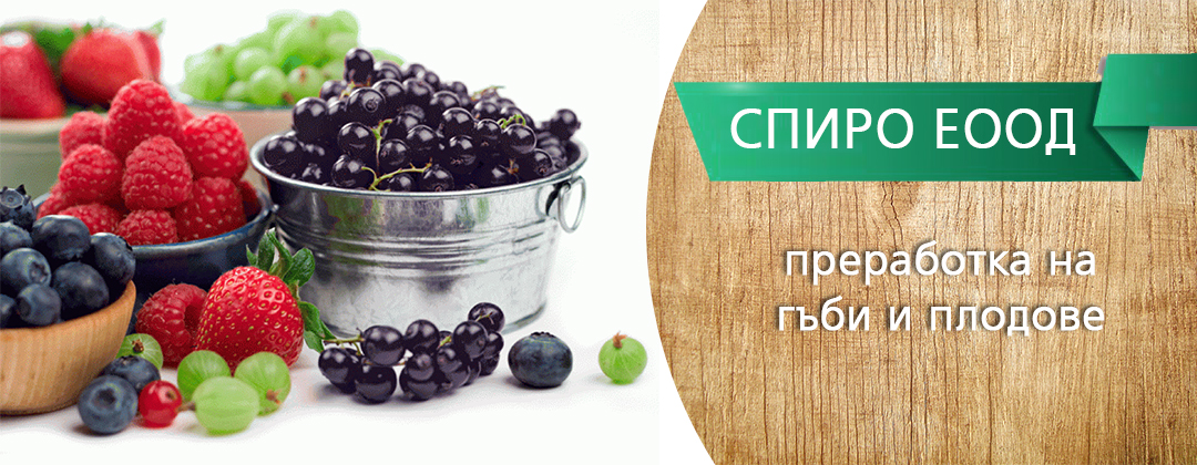 СПИРО ЕООД