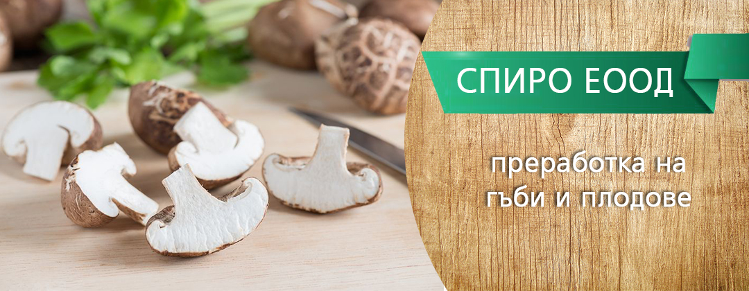 СПИРО ЕООД