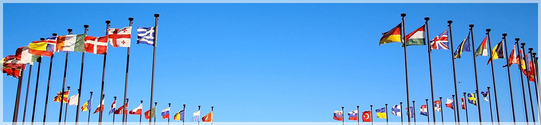 превод и легализация превод и легализация