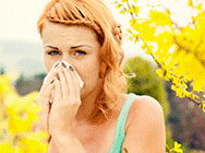 Д-р Веселин Матеев Д-р Веселин Матеев