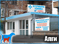 ветеринар, ветеринар поморие, ветеринарна клиника, ветеринарна клиника поморие, ветеринарно лечение, ветеринарен кабинет, ветеринарен кабинет поморие, ветеринарен лекар, ветеринарен лекар поморие, ветеринарна медицина, животни лекар, хирургия, ехография,