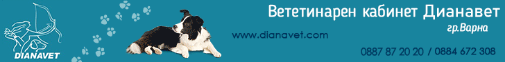 ветеринарен кабинет, ветеринарни кабинети, консултации, прегледи, ваксинации, външно и вътрешно oбезпаразитяване, широка гама хирургически интервенции, маркиране с микрочип, лабораторни изследвания, преглед с ехограф, подстригване, почистване на зъбен кам