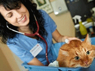 Централна Ветеринарна Клиника