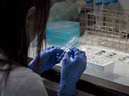 Ева Лаб Ева Лаб