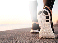 ОРТО България ЕООД ОРТО България ЕООД