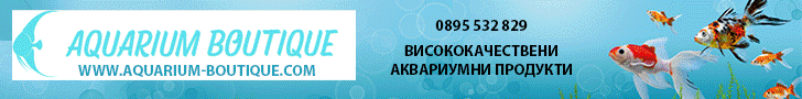 Аквариумни продукти, храна за риби, аквариумни растения, аквариумни аксесоари, аквариумни филтри, осветление за аквариум, CO2 системи за аквариуми, Поддръжка на аквариуми, Оборудване за аквариуми, Аквариумни продукти, храна за риби, аквариумни растения, аквариумни аксесоари, аквариумни филтри, осветление за аквариум, CO2 системи за аквариуми, Поддръжка на аквариуми, Оборудване за аквариуми,