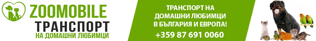 Транспрот на домашни любимци, Транспорт на котки, кучета, зайци, птици и други домашни любимци. Транспрот на домашни любимци, Транспорт на котки, кучета, зайци, птици и други домашни любимци.