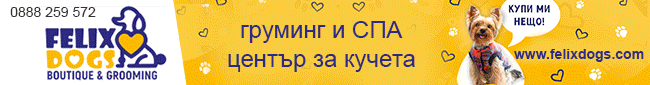 грууминг студио, къпане на кучета, подстригване на кучета, подрязване на нокти, грууминг студио, къпане на кучета, подстригване на кучета, подрязване на нокти,
